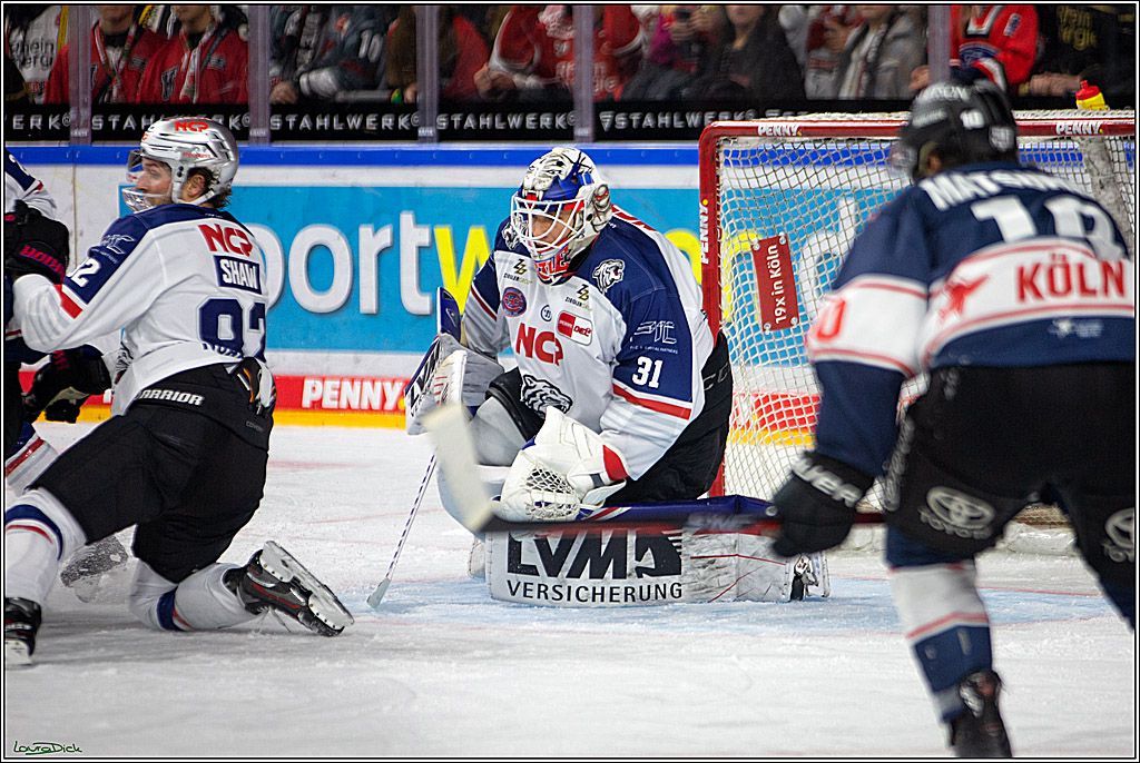 PENNY DEL; Koelner Haie- Nuernberger Ice Tigers; Koeln, 29.01.2023